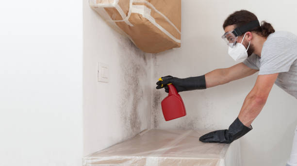 Professional Attic Mold Removal technician working in Haslett, MI